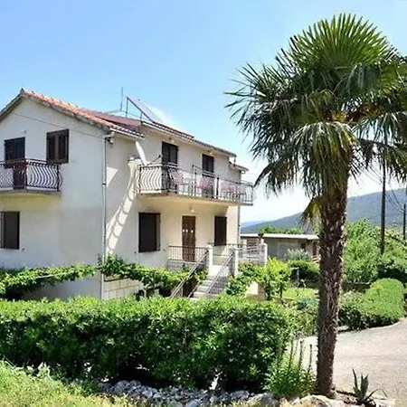 Apartment Vrisnik *