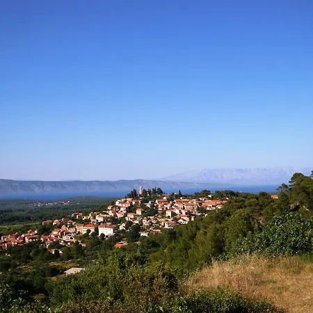 Vrisnik 젤사